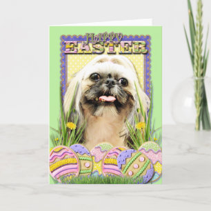 Påskäggkakor - Shih Tzu - Opal Helgkort