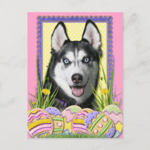Påskäggkakor - siberian husky helg vykort