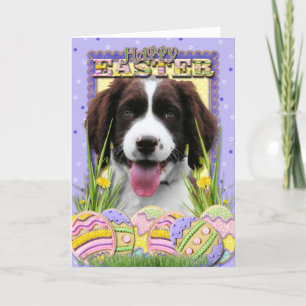 Påskäggkakor - Spaniel för engelsk Springer Helgkort