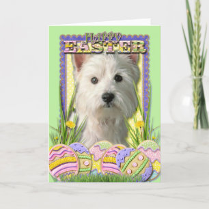 Påskäggkakor - västra höglands- Terrier Helgkort