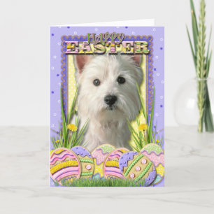 Påskäggkakor - västra höglands- Terrier Helgkort