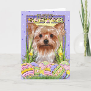 Påskäggkakor - Yorkshire Terrier Helgkort