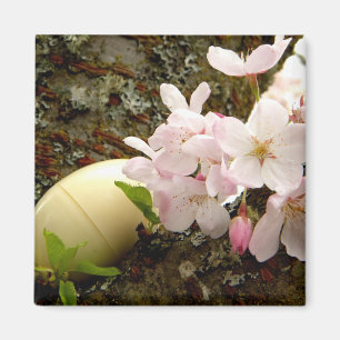 Påskblommar Magnet