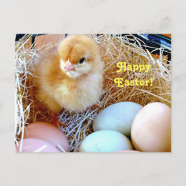 Påskchick i basketvykort helg vykort