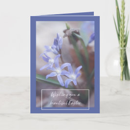 Påskhälsningar - Chionodoxa - Kort