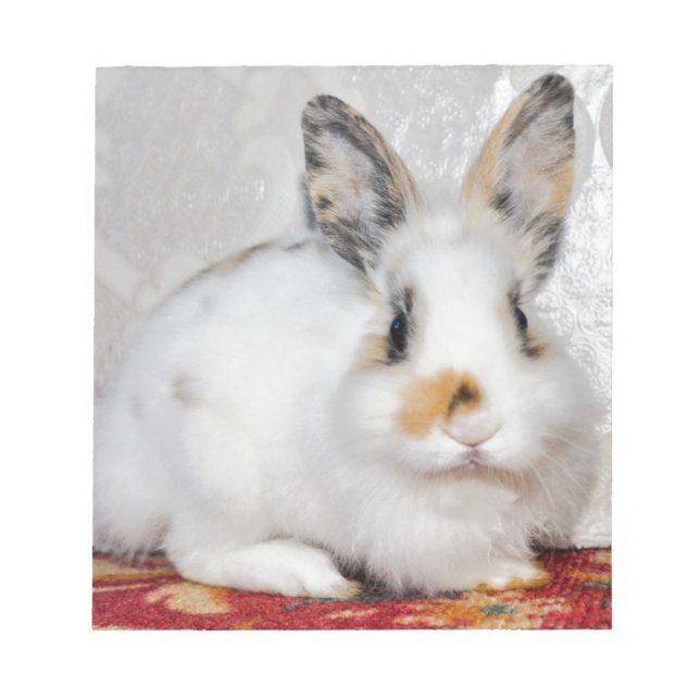 Påskhare Anteckningsblock (Framsida)