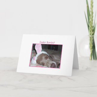 Påskhare? Bah Humbug! Helgkort