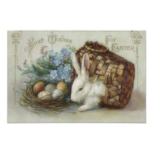 Påskhare Färgad Paediatric Egg Basket Glöm mig Fototryck