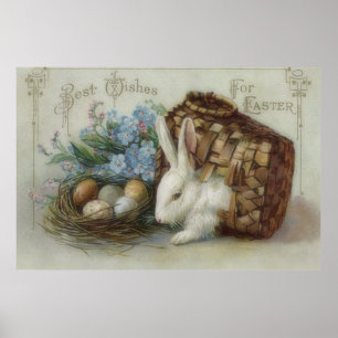 Påskhare Färgad Paediatric Egg Basket Glöm mig Poster