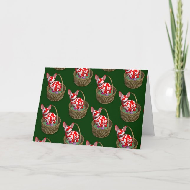 Påskhare Katt Helgkort (Framsida)