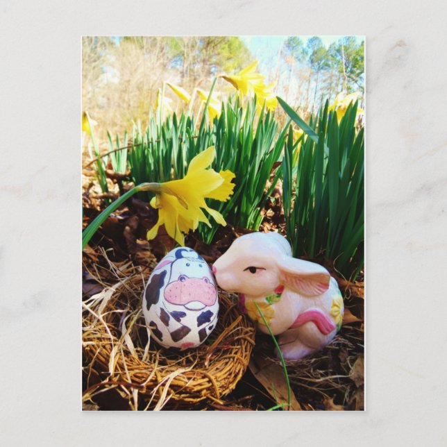 Påskhare kyssar Kow Egg Helg Vykort (Framsida)