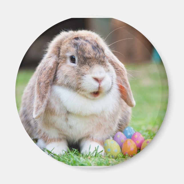 Påskhare Magnet (Framsidan)
