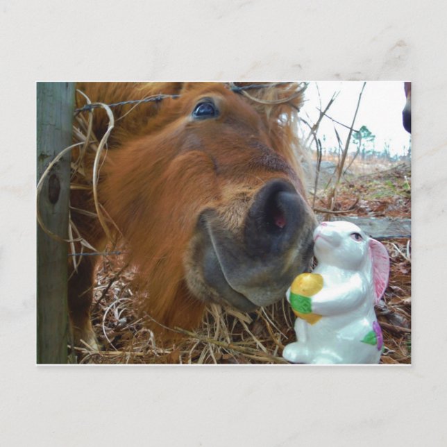 Påskhare och brun häst helg vykort (Framsida)