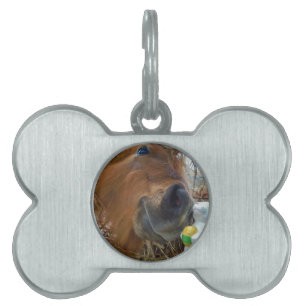 Påskhare och brun häst ID-bricka husdjur