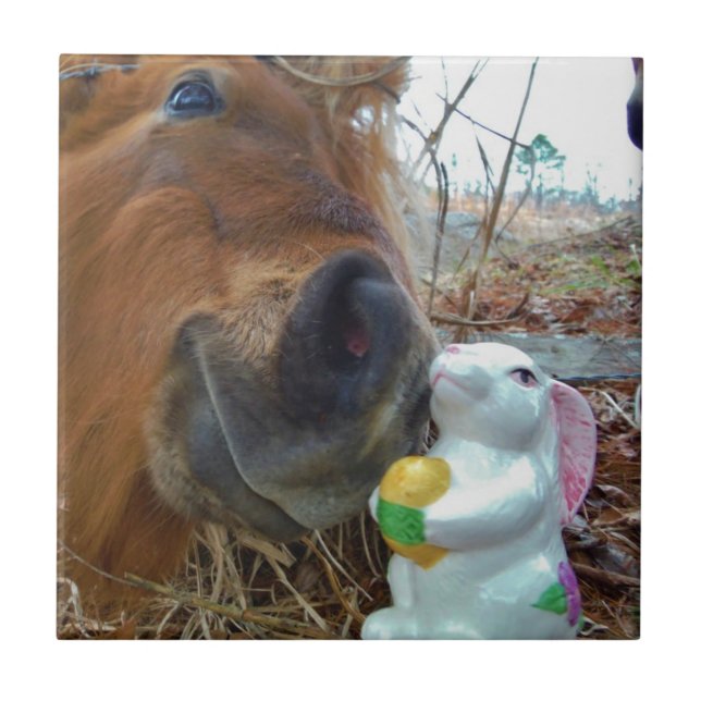 Påskhare och brun häst kakelplatta (Framsidan)