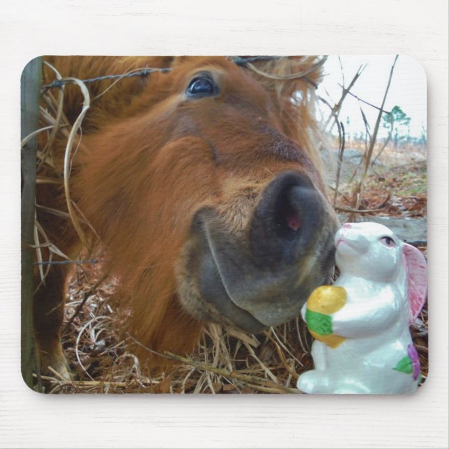 Påskhare och brun häst musmatta (Framsidan)