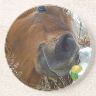 Påskhare och brun häst underlägg sandsten