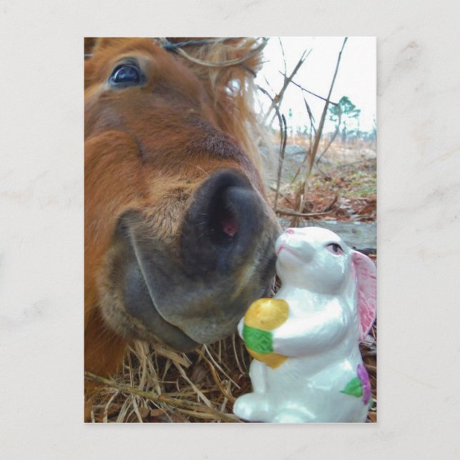 Påskhare- och brunthäst helg vykort (Framsida)