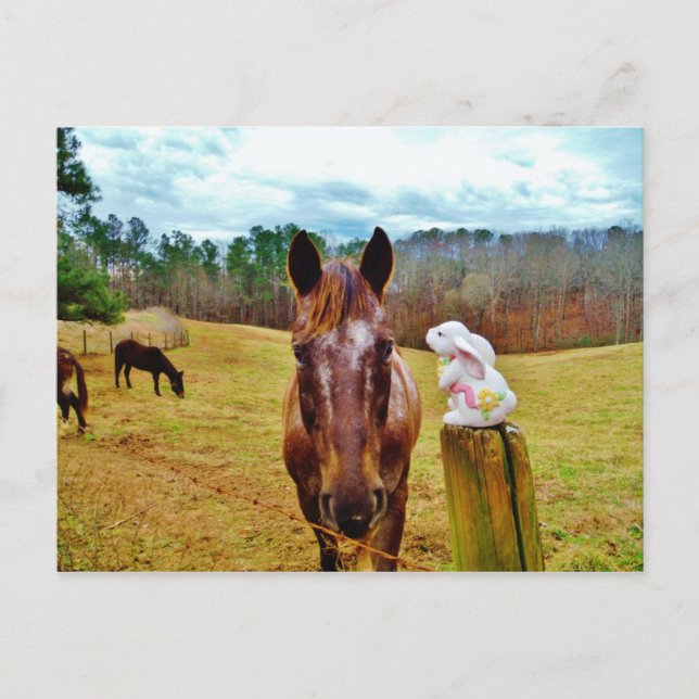 Påskhare- och brunthäst helg vykort (Framsida)