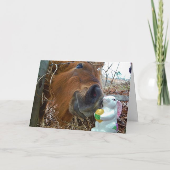 Påskhare- och brunthäst helgkort (Framsida)