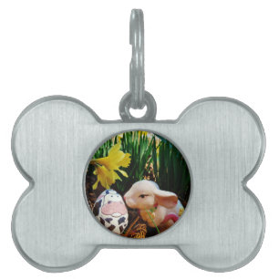 Påskhare- och koägg ID-bricka husdjur