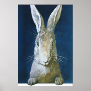 Påskhare Poster