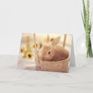 Påskharekort Helgkort