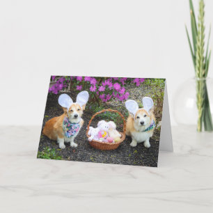 Påskharens Corgis hälsning Kort