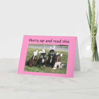 PÅSKHARN ÄR PÅ EN RAGE OM ÖRON!!!!!! HELGKORT