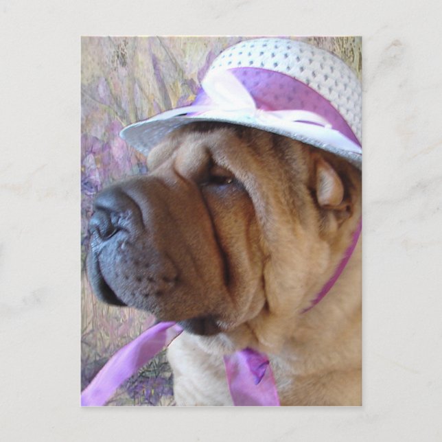 Påskhätta Helg Vykort (Framsida)