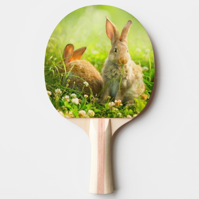 Påskkaniner Pingisracket (Framsidan)