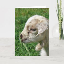 Påskkid Goat Flower Kort