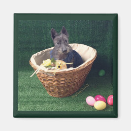 Påskkorg Scottie Magnet