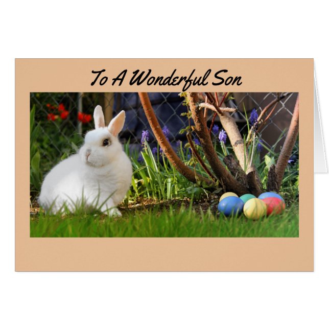 Påskkort för en Son Hälsningskort (Framsidan Horizontal)