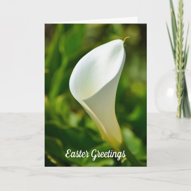 Påskkort med vit Calla Lily-blomma Kort (Framsida)