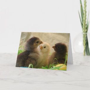 Påskkycklingar Helgkort