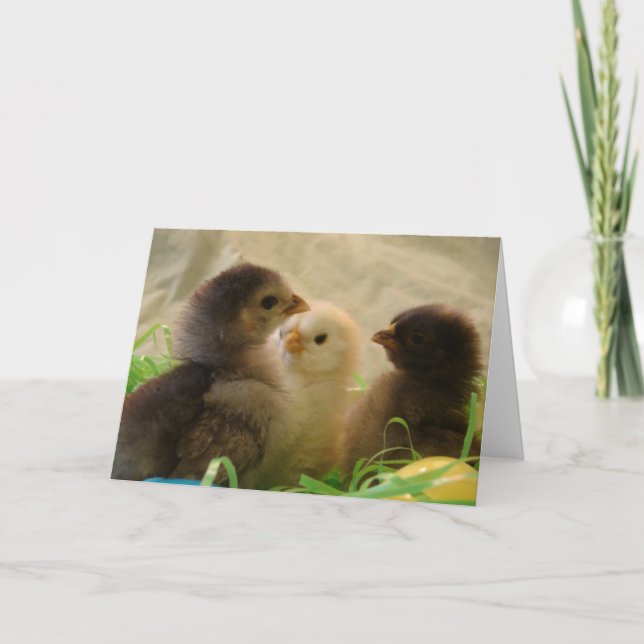 Påskkycklingar Helgkort (Framsida)