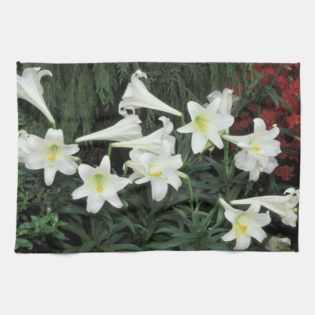 Påsklilja (Lilium regale) Kökshandduk (Horisontell)
