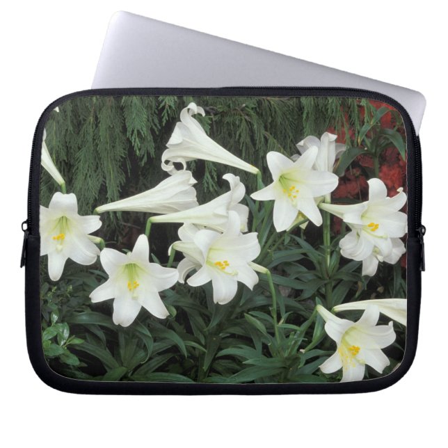 Påsklilja (Lilium regale) Laptop Fodral (Framsidan)