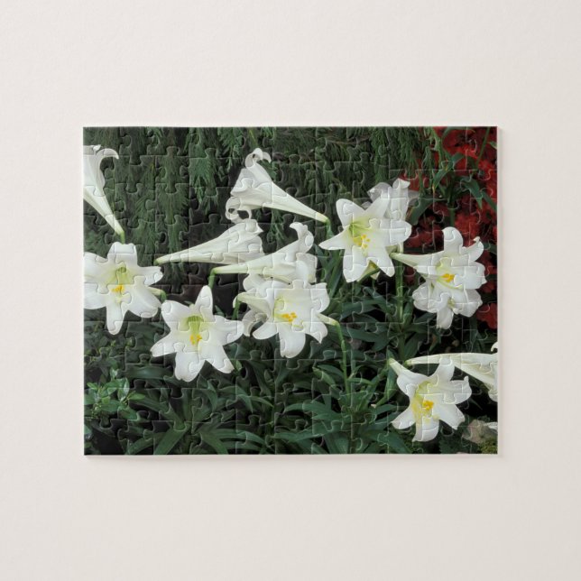 Påsklilja (Lilium regale) Pussel (Horisontell)