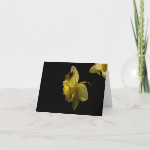 Påsklilja- och malnotecard kort