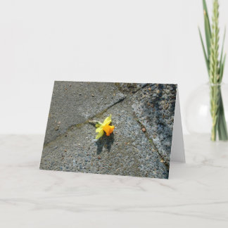 Påskliljahälsningkort Kort
