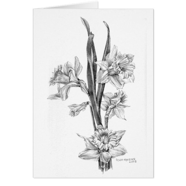 Påskliljar med blyerts hälsningskort (Framsidan)