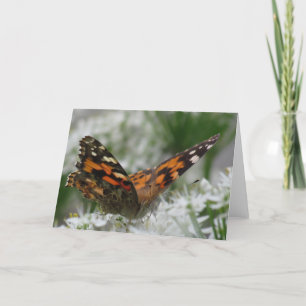 Paskriven Dam Butterfly Kort