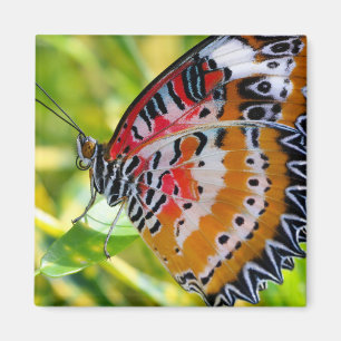 Paskriven Dam Butterfly Magnet