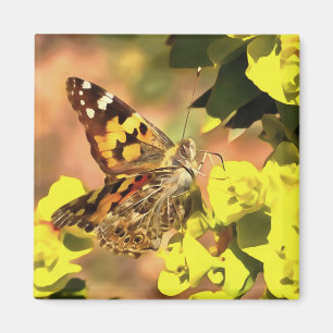 Paskriven Dam Butterfly på Myrtle Spurge Magnet