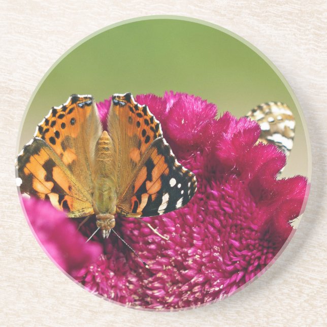 Paskriven Dam Butterfly Underlägg (Framsidan)