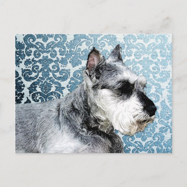 Paskriven Miniature Schnauzer Vykort (Framsida)