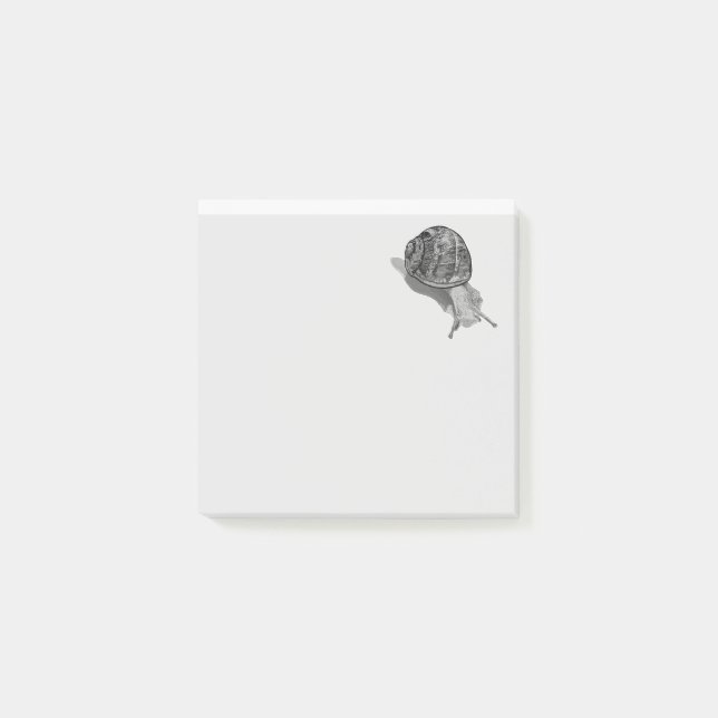Paskriven Snigel Post-it Block (Framsida)