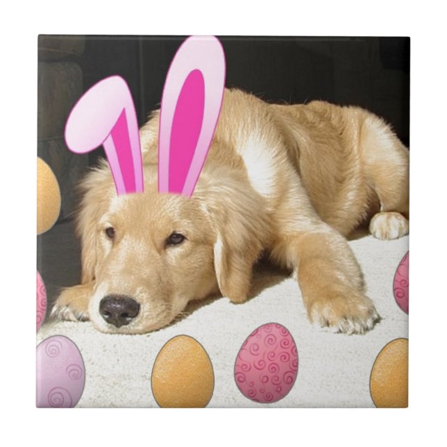 Påskvalp av rasen Golden Retriever Kakelplatta (Framsidan)